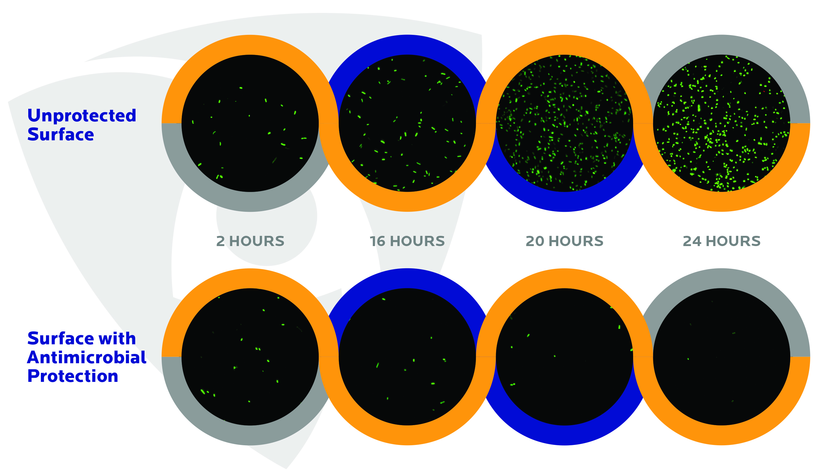 https://www.mycolorscents.com/assets/img/articles/trashbag-with-microban/Protected_Vs_Unprotected_Confocal%20Imagery-24hrs.jpg