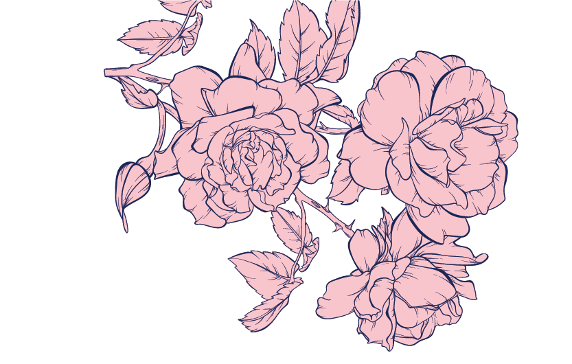 Teakwood & Rose illustration